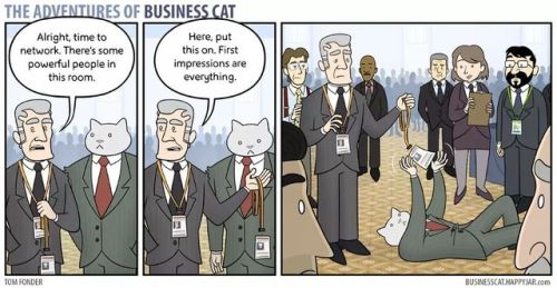 klubbhead: tomibunny:  a-night-in-wonderland: The Adventures Of Business Cat #i like these cause it implies that depsite all these weird things he does hes so good at buisness #that they let it slide   Classics 