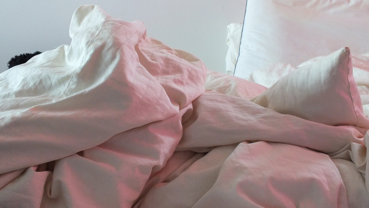 spybean:  Sky vs Sheets comparison 