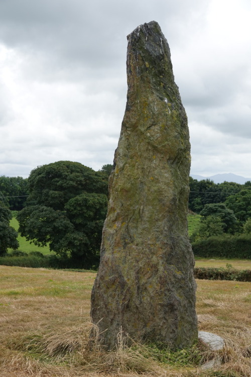 Ty Gwyn Standing Stone, Llandegfan, Anglesey, 30.7.17. This single standing stone is substantial an