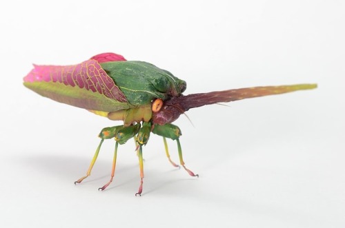 archiemcphee:We love these exquisitely detailed fantasy insects created by Japanese artist Hiroshi S