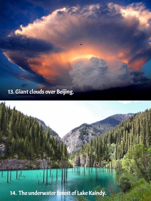 nekorse:  dfw-cub:  terra-mater:  15 amazing things in nature you won’t believe actually exist Source  I am gonna make it my personal mission to see these places some day.  How can our planet be so beautiful without us being aware of it? 