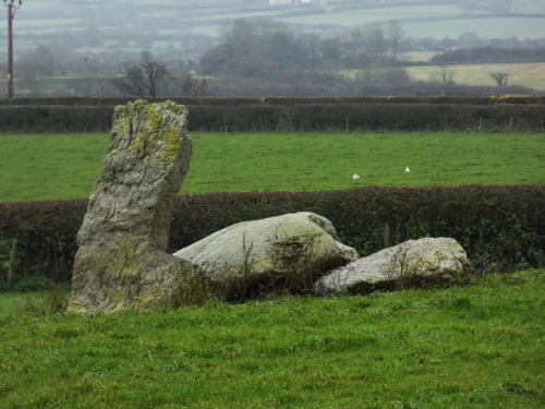 Hendrefor Burial Chamber, Anglesey, North Wales, 25.10.17. These badly damaged piles are all that re