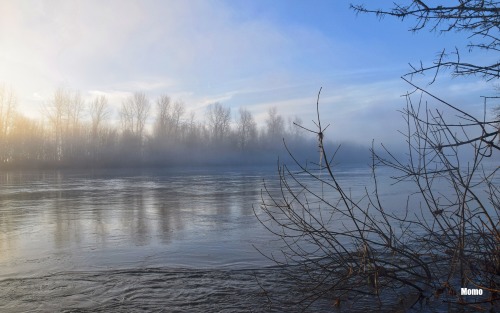 Foggy November morning on the Willamette River in Oregon