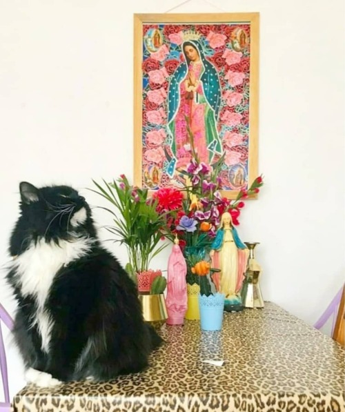 ❤ HAPPY TREASUREHUNTER ❤ Our beautiful Virgen de Guadelupe artwork found a new Casita ❤ Guadelupe br