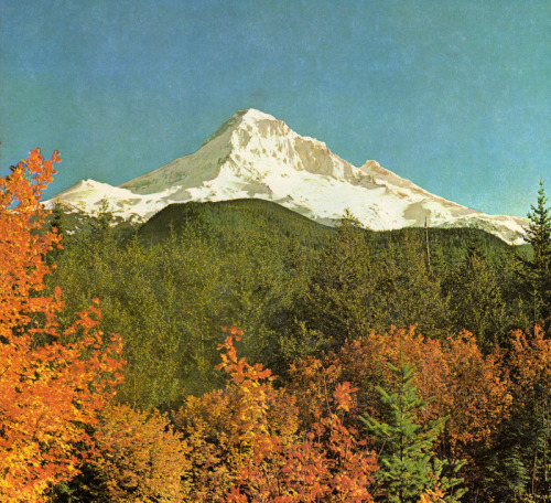 Mt. Hood, OregonTHE PACIFIC COAST | Ray Atkeson ©1971