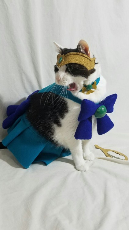 timeywimeyjedi:Being a cosplay kitty is tiring work.