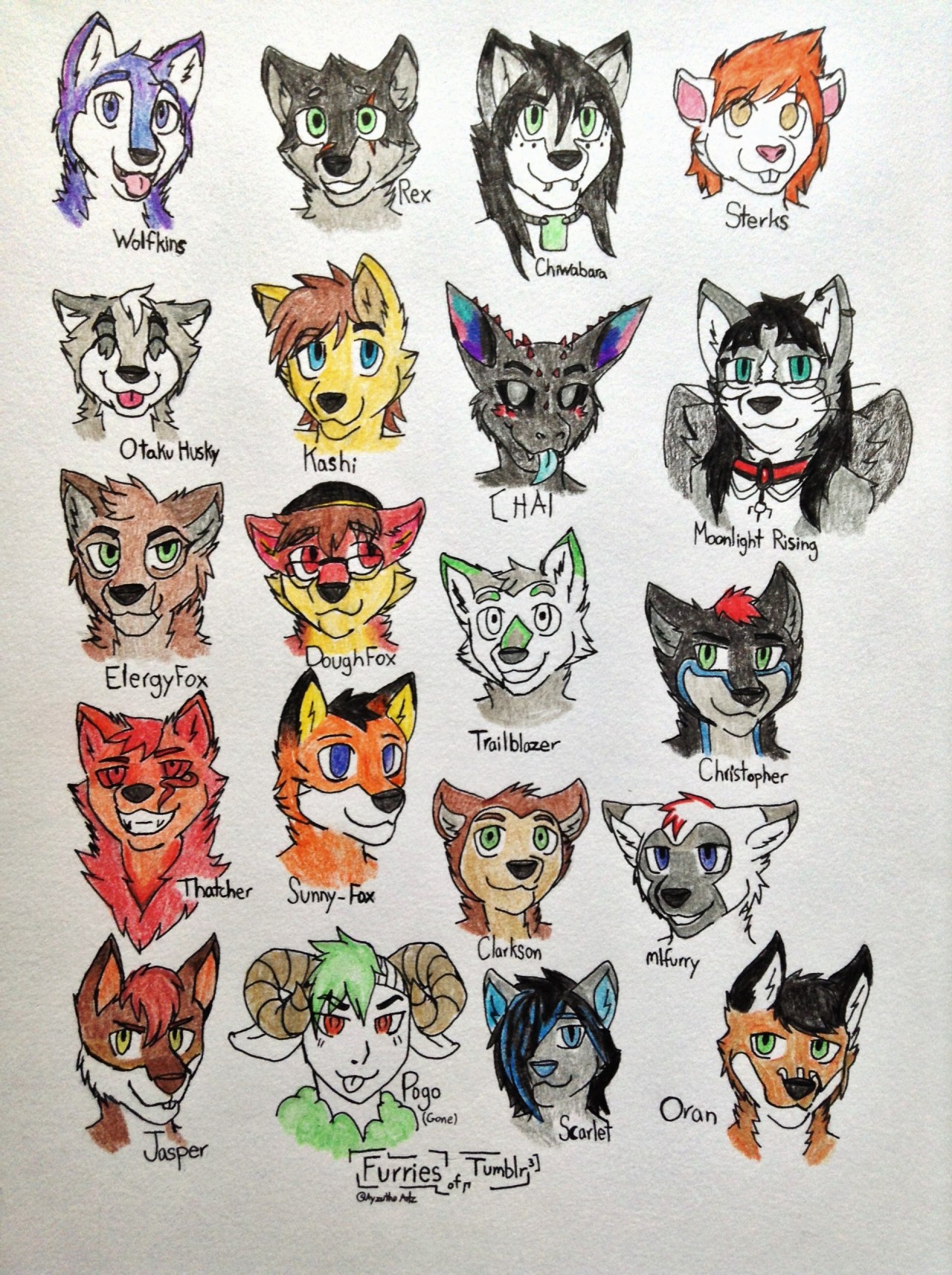 furrywolflover:  ayzutho-the-catfox:  Furries of Tumblr Collection  Aww I dont see