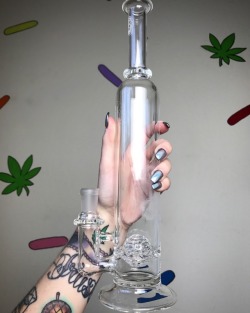 coralreefer420: She’s back from being repaired!