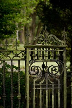 Love this gate