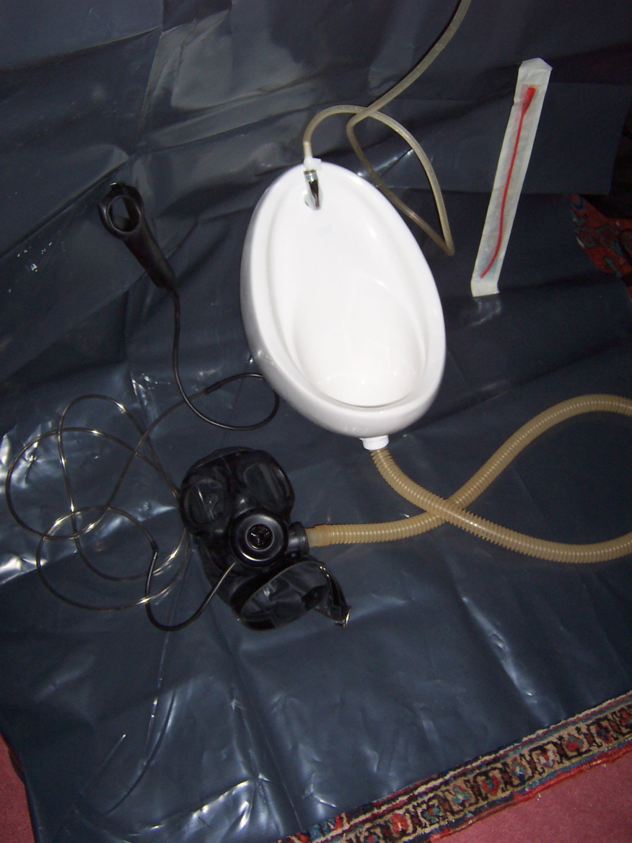 slavethompson:  smbdboi:  cumpig:  rubbermayhem:  Welcome to your first day of piss