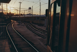 antonioverdin:  Tren ligero.  Antonio Verdín,