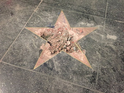 catchymemes:Donald Trump’s Star on the Hollywood Walk of Fame is destroyed by man carrying a pickaxe