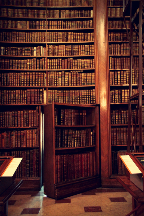 littledallilasbookshelf: Austrian National Library, Vienna by Amanda Rust on Flickr. A secret door i
