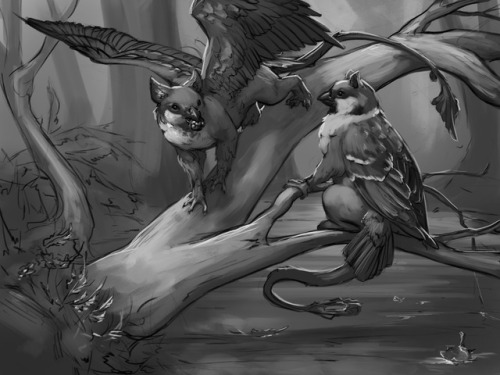 Some sparrow gryphons for my Patreon sketchpoll! :D I love tiny gryphons.