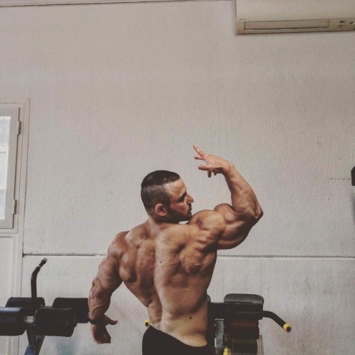 Daniel Sticco