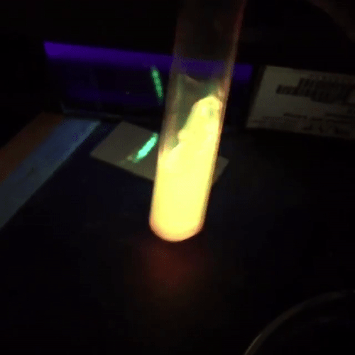 pridesquishy:glowing reaction - credit if using