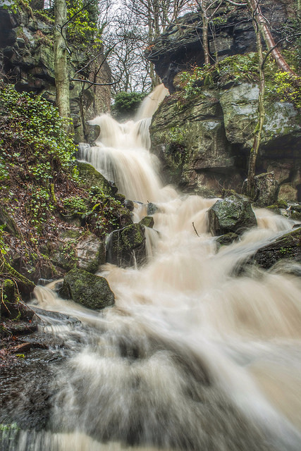 90377:  Let there be water by leebradley750 on Flickr. 
