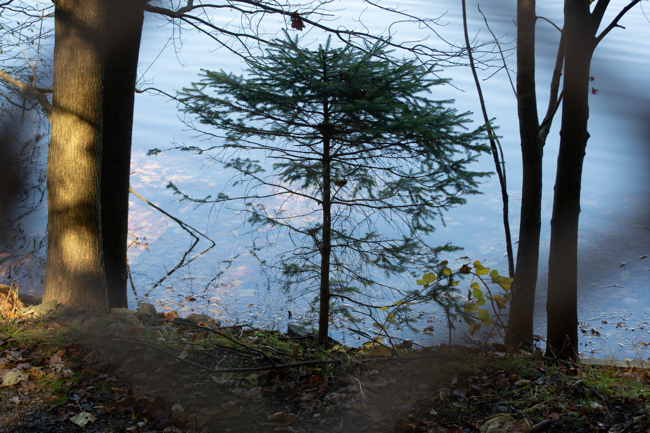 Tumblr Photo
