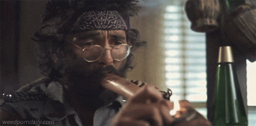 weedporndaily:  currently