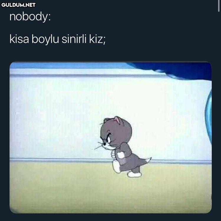 Çen çiniylendin mi nobody:...