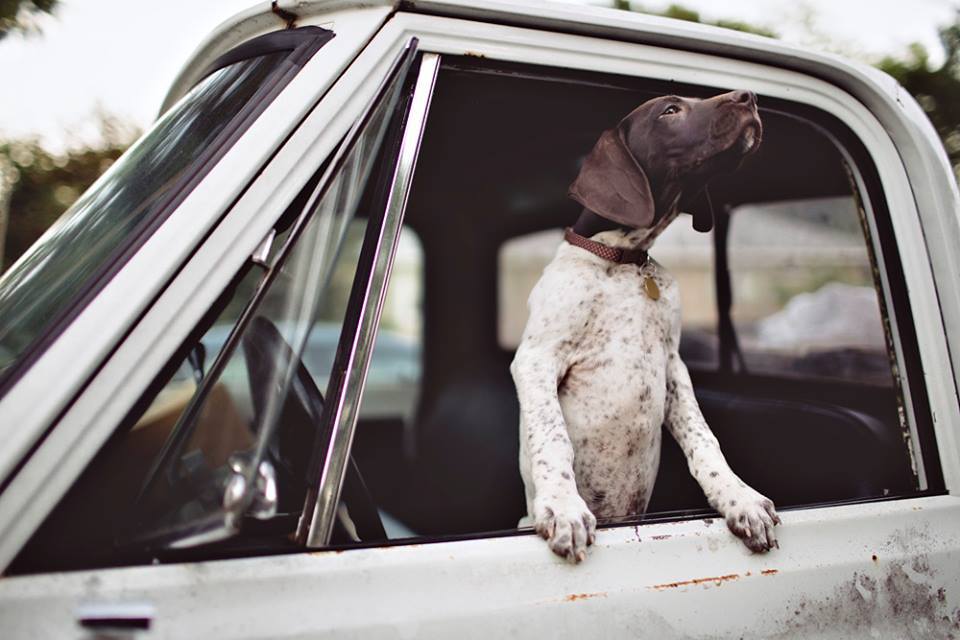 girrlscout
