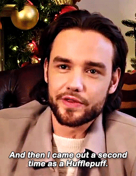 spice-vanilla:Which Hogwarts House Liam would be in?
