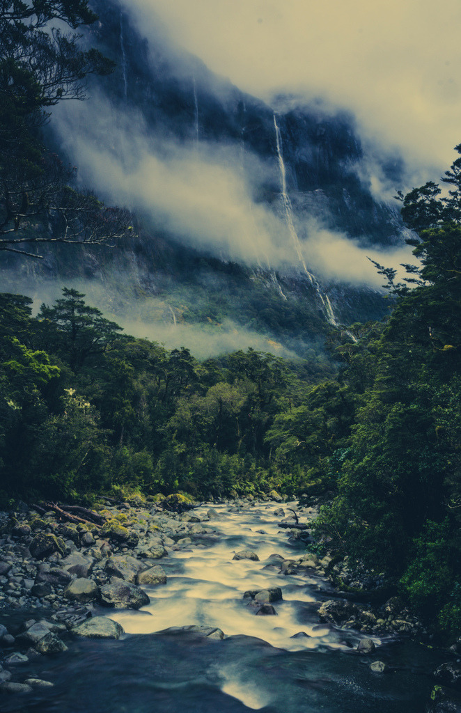 woodendreams:  (by Stuck in Customs)