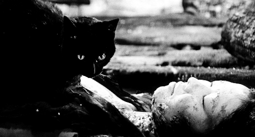 ofsomesolace:藪の中の黒猫 Yabu no Naka no Kuroneko // Kuroneko (transl. Black Cat) 1968 dir. Kaneto Shindô