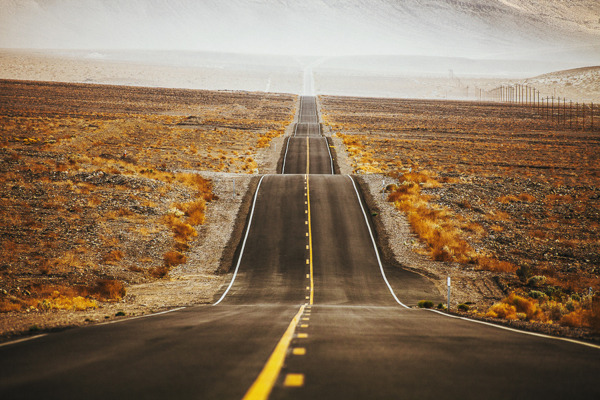 leebarguss:  On the Road (by Justyna Zduńczyk)