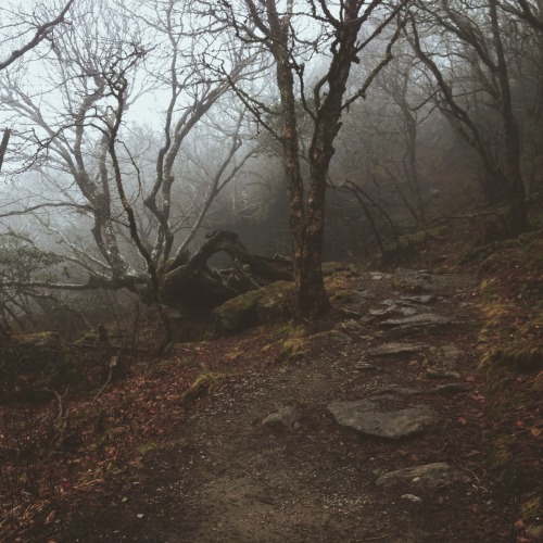 twostarsinonesphere:ounu:it was so incredibly eerie this morning though i am old with wanderingthrou