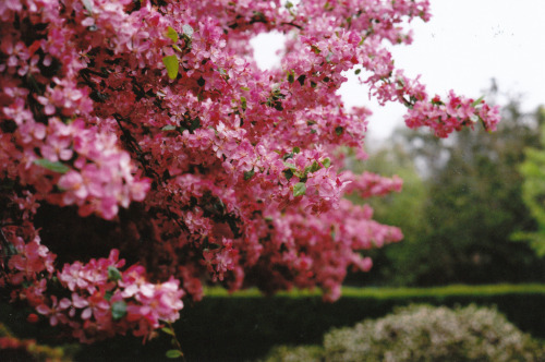 after the rain