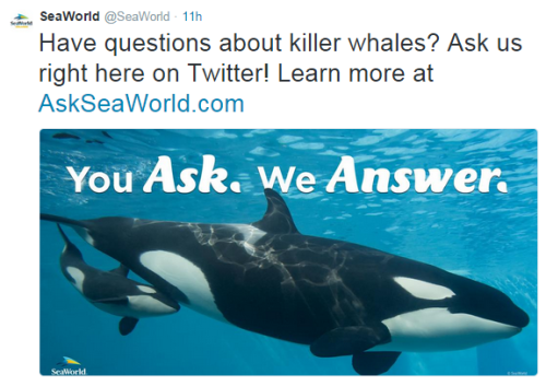 gbzombiepie:Whoever is Running the SeaWorld Twitter Account is Not a Good Person(Source 1) (Source 2