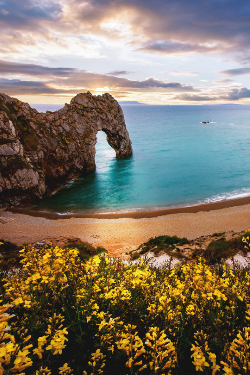 italian-luxury:  Morning Cove, Dorset, England