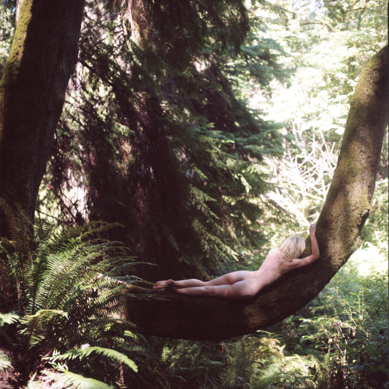 shelbiedimond:  Self Portrait // Seattle 2016I am convinced I am being harassed by