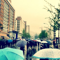 Rainy day in Dalian. #umbrellas #dalian #china