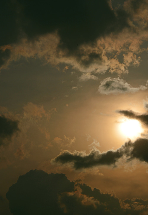 Photography By Peter Solarz