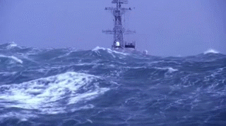 31262:  Riding the rollercoaster. Video   seasick anyone