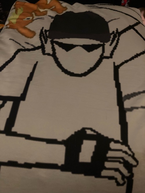 a photo of a body pillow of Bro Strider from homestuck