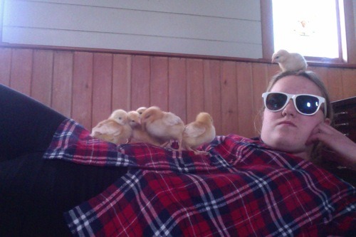 plaideangel:  plaideangel:  thewifeofloki:  what the hell do you mean chicks don’t like plaid  this one does  oh shit  wHAT   CHICKS REALLY LIKE PLAID WATCH OUT   chick magnet  WHICH ONE OF YOU DICKHEADS BROUGHT THIS BACK JUST WHEN I THOUGHT IT HAD