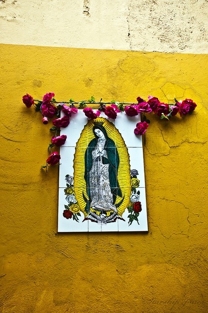 por-pendeja:  Guadalajara 2013. Clinging upon many local abarrotes and dulcerias. Summer Come back Soon. 