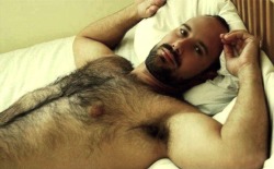 bearpitpig:  #HairyPits #Armpits #Bear #Pits