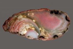 ifuckingloveminerals:  Chalcedony var: Agate St. Louis Mine Exploration, Laurium, Houghton Co., Michigan, USA 