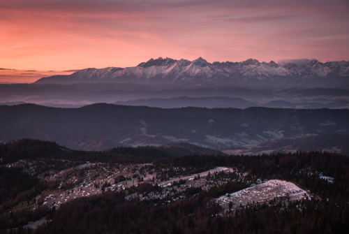 Tatra Mountains as seen from observation tower on top of Gorc, Gorce Mountains Karol Majewski photog