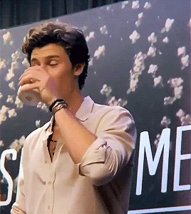 pickeringawd:shawn mendes: the tour - kuala lumpar q&amp;a