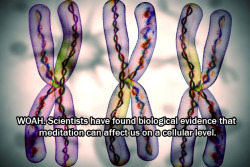 asapscience:  World-first evidence suggests that meditation alters cancer survivors’ cells  We’re often told that being happy, meditating and mindfulness can benefit our health. We all have that one friend of a friend who says they cured their terminal