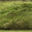 openmovinggrounded