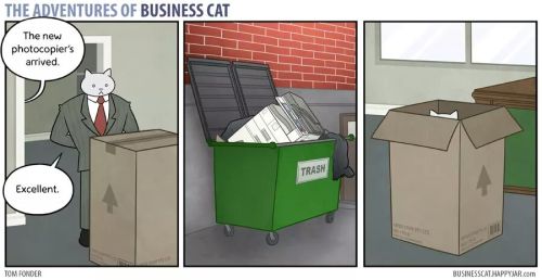 tomibunny:  a-night-in-wonderland: The Adventures Of Business Cat #i like these cause it implies that depsite all these weird things he does hes so good at buisness #that they let it slide 