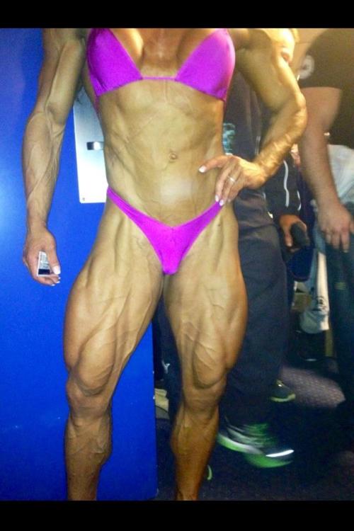 Muscle and Stuff