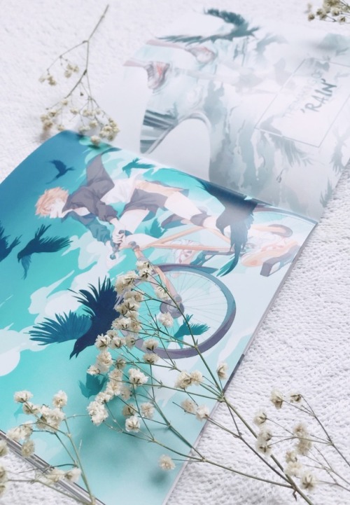 My Haikyuu x birds zine: 「To The Sky」✨ For pre-orders please kindly visit my storenvy: mintdesu.stor
