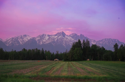 spectrologie-deactivated2023041:Palmer, Alaska // Birdy